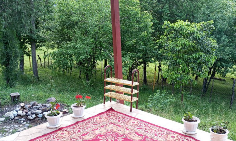 اجاره ویلا سرسبز پژمان در دل جنگل