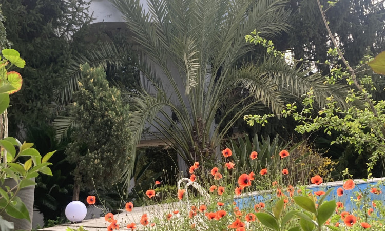اجاره خانه دوبلکس فروغ