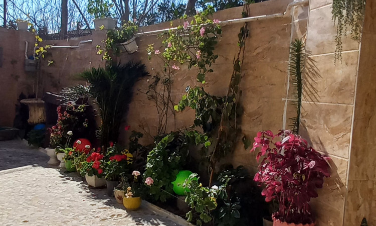 اجاره خانه ی حیاط دار نیک شیرگاه