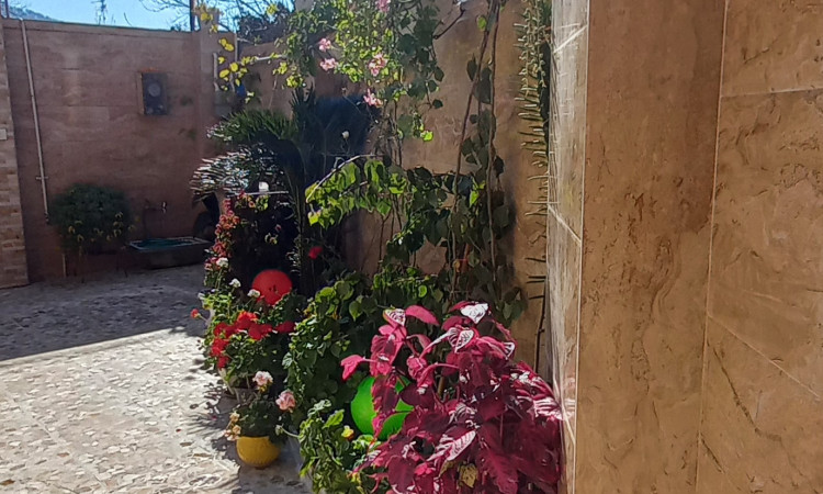 اجاره خانه ی حیاط دار نیک شیرگاه