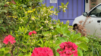 فيلا علي للإيجار