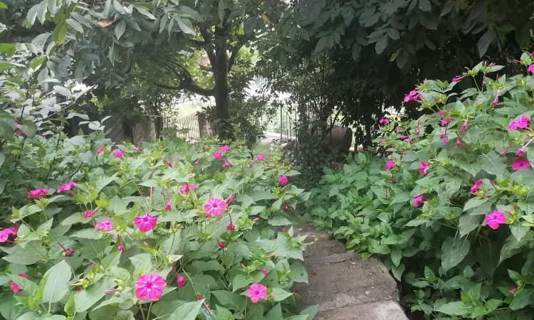 اجاره اقامتگاه دو خواب بومگردی چلچلا