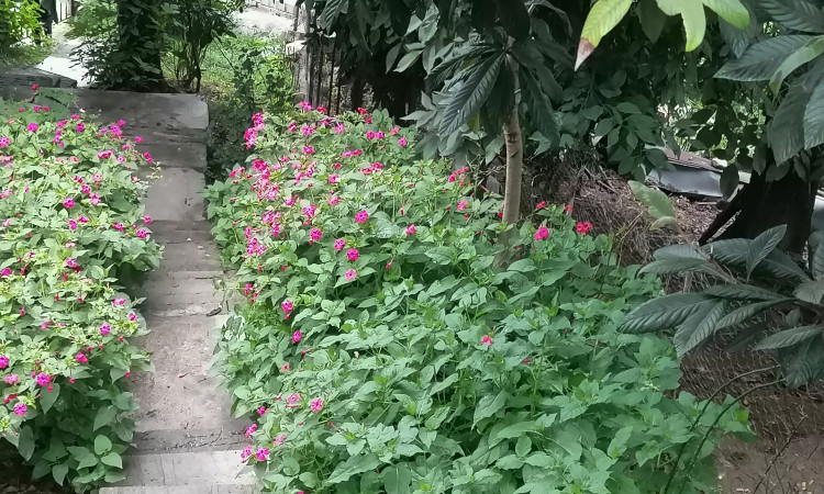 اجاره اقامتگاه دو خواب بومگردی چلچلا