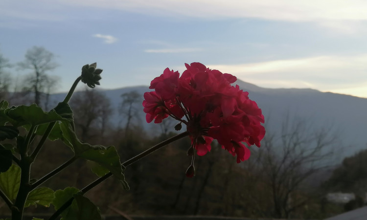 اجاره اقامتگاه دو خواب بومگردی چلچلا