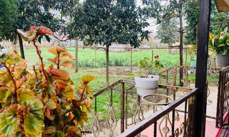 اجاره باغ ویلا سه خواب جنگلی