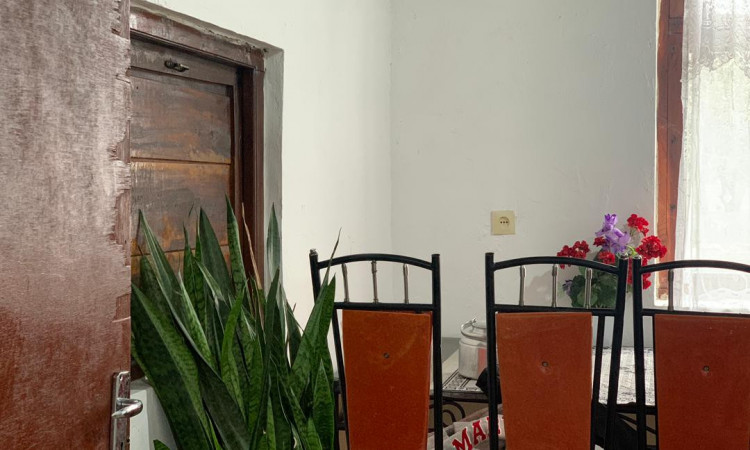 اجاره باغ ویلا سه خواب جنگلی