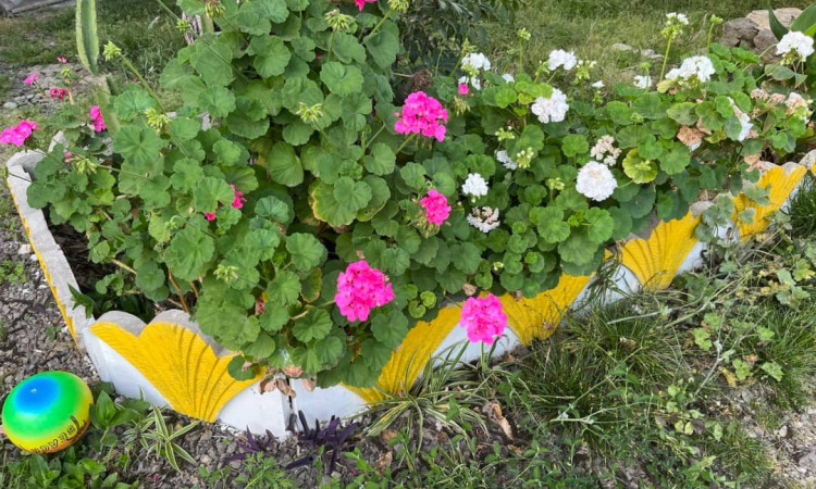 اجاره ویلا 2 خواب چوبی رنگینه