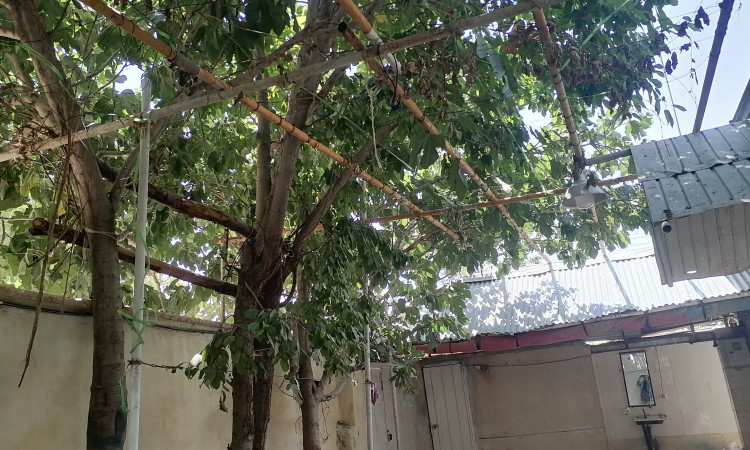 اجاره منزل ویلایی دو خوابه