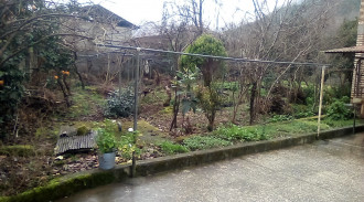 اجاره ی ویلای جنگلی رسپینا