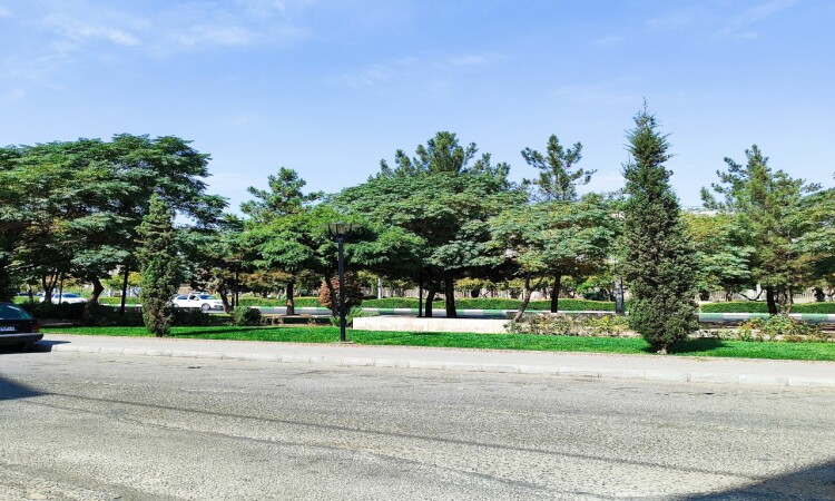اجاره آپارتمان تک خواب همکف دربست شهرکی