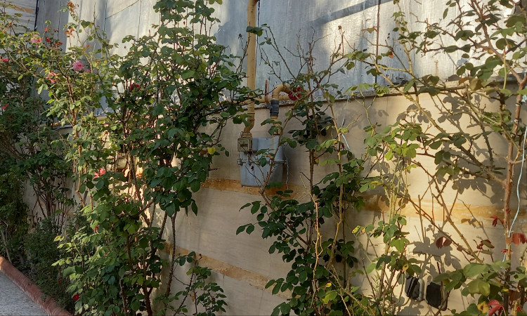 اجاره ویلای بوستان 9