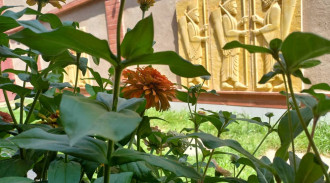 منتجع بارس جاد البيئي (بات روك طاش)