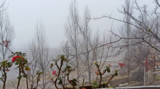 رزرو ویلا تک خوابه گلپر پاقلعه واحد 2