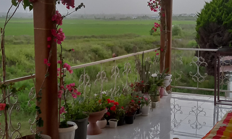 اجاره ویلا دوبلکس جنگلی ساحلی واقع در ایزدشهر