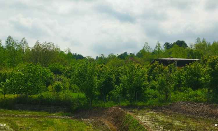 اجاره کلبه سنتی تک خواب تقیا
