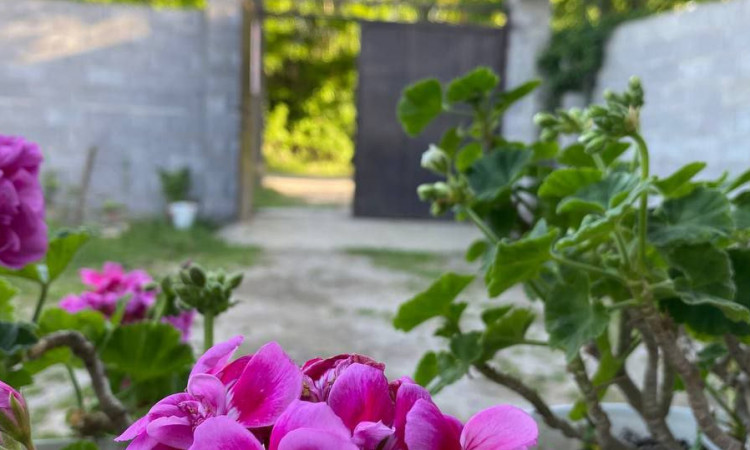 رزرو ویلای تک خواب سه گل درشفت