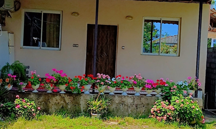 رزرو ویلای تک خواب سه گل درشفت