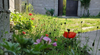 رزرو ویلای تک خواب سه گل درشفت