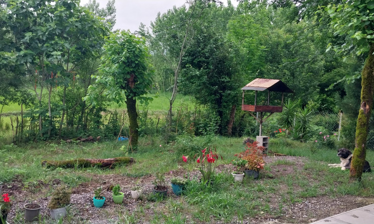 اجاره خانه ویلایی در سراوان _کچا