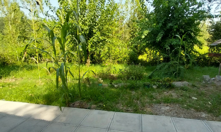 اجاره خانه ویلایی در سراوان _کچا