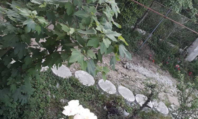 اجاره ویلا چوبی ،با امکانات کامل و ویو بسیار زیبا