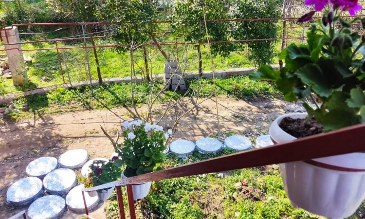 اجاره ویلا چوبی ،با امکانات کامل و ویو بسیار زیبا