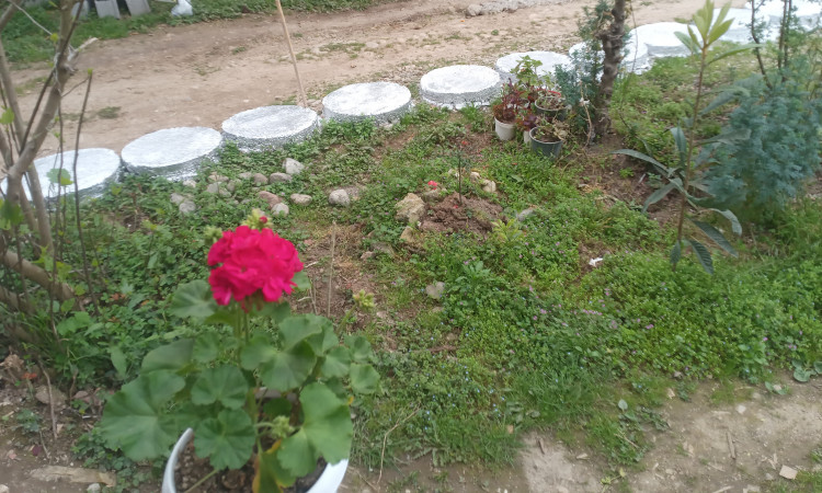 اجاره ویلا چوبی ،با امکانات کامل و ویو بسیار زیبا