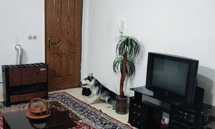 اجاره آپارتمان تک خوابه دو تخته