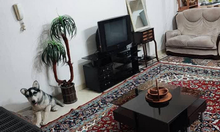 اجاره آپارتمان تک خوابه دو تخته
