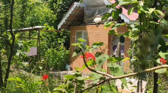 كوخ الغابة الجبلية