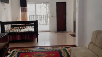 جناح الغابة