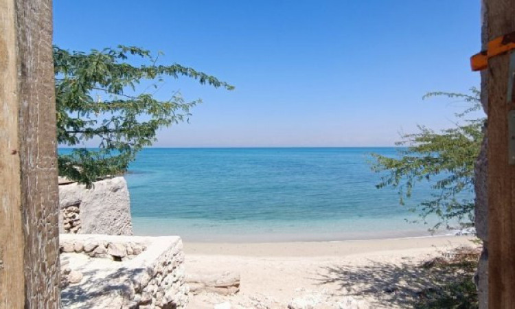 اتاق نخل جزیره لاوان