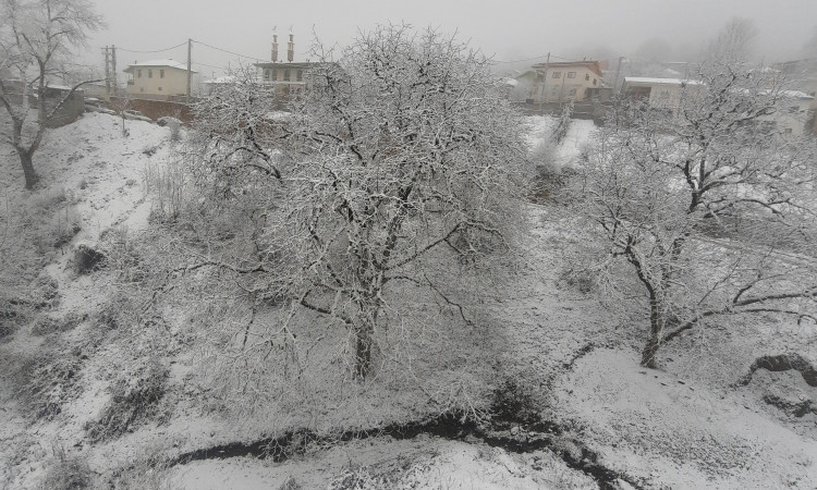 اجاره واحد تک خوابه خاطره فیلبند