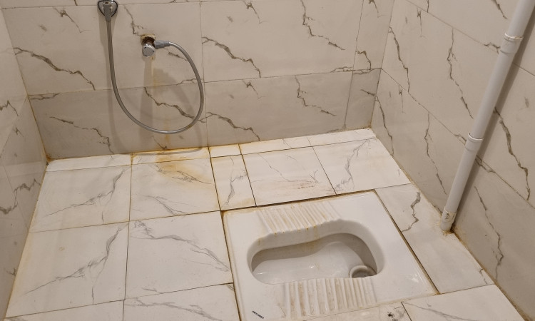 رزرو بوم گردی هورست( اتاق نخل)