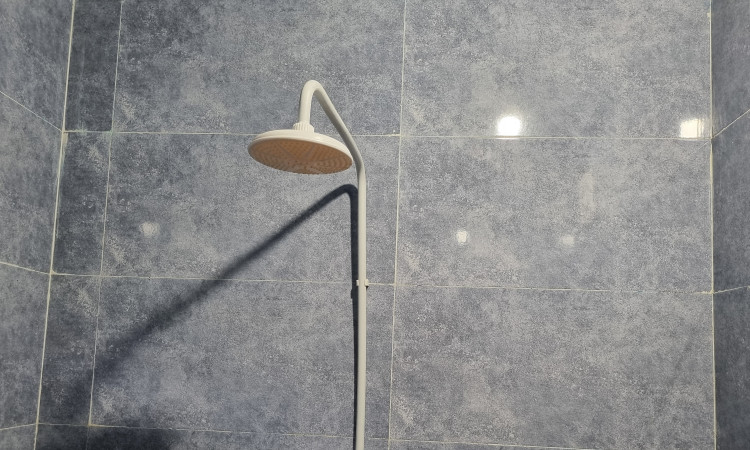 رزرو بوم گردی هورست( اتاق نخل)
