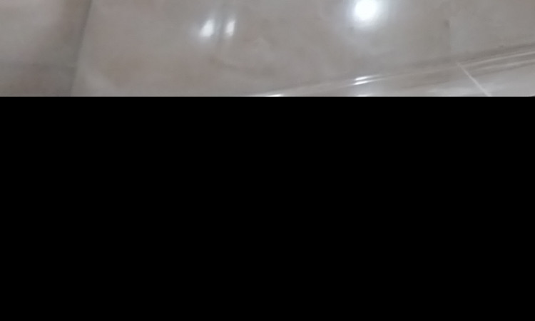 اجاره خانه مسافر کاج(واحدیکخواب ورودی مستقل)