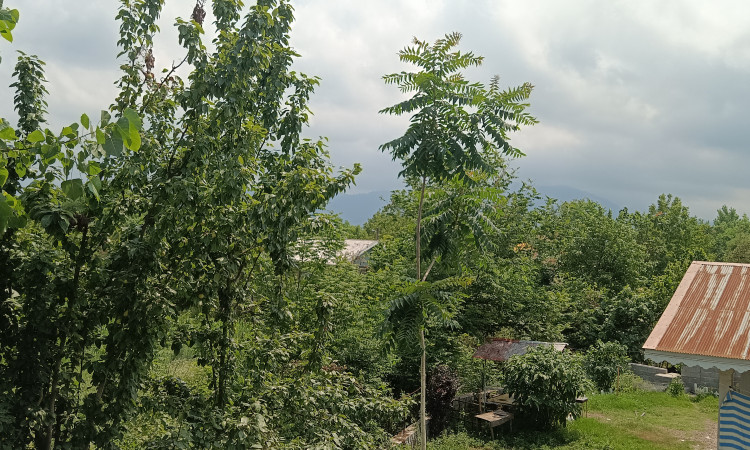 ویلا روستایی سیکاج 1