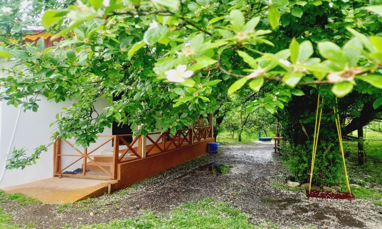 استئجار Adel Talesh Forest Cottage