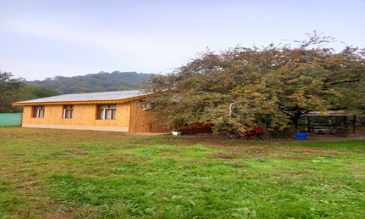 استئجار Adel Talesh Forest Cottage