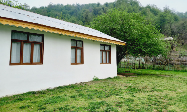 اجاره کلبه جنگلی تالش سراگاه