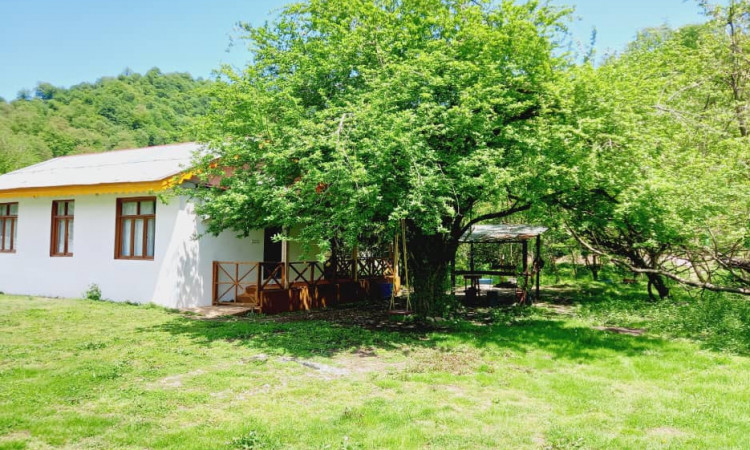 اجاره کلبه جنگلی تالش سراگاه