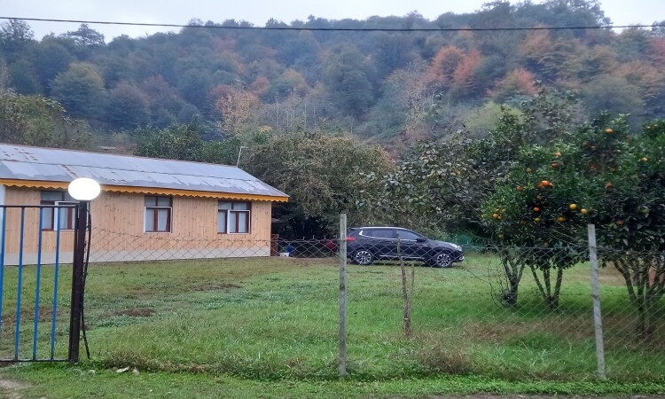 استئجار Adel Talesh Forest Cottage