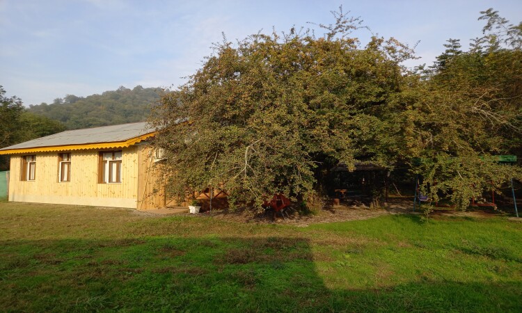 استئجار Adel Talesh Forest Cottage