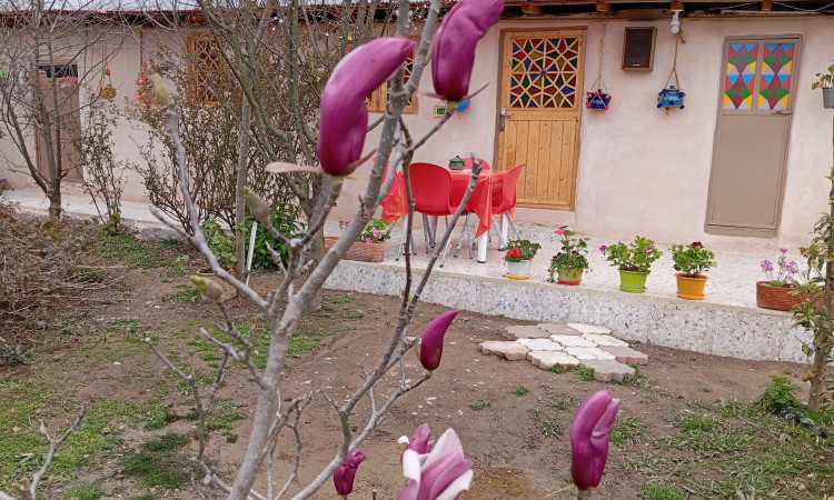 اجاره سوئیت 30 متری یاسی