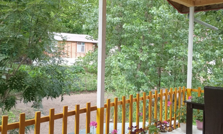 اجاره کلبه چوبی جنگلی ماسال