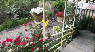 اجاره سوئیت کلبه برفی شمشک