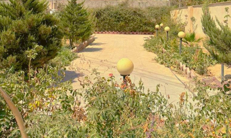 اجاره ویلا تک خوابه احمد آباد