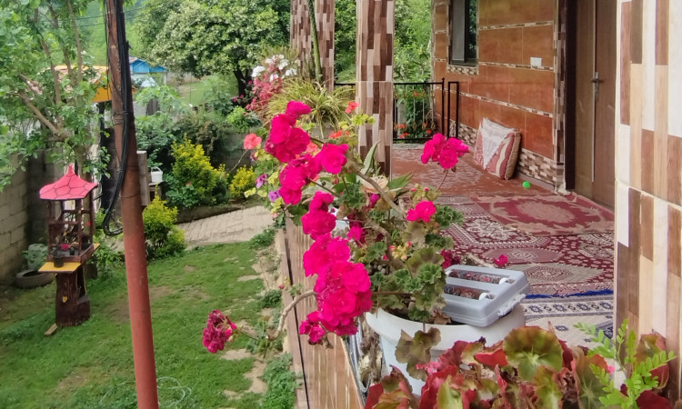 اجاره ویلا جنگلی 120 متری دوخوابه