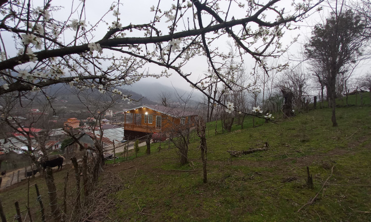 اجاره کلبه چوبی راش