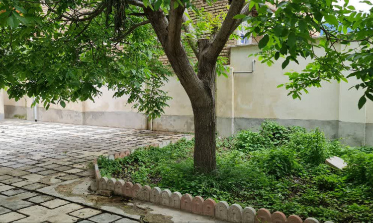 اجاره ویلا سه خوابه مهرگان2
